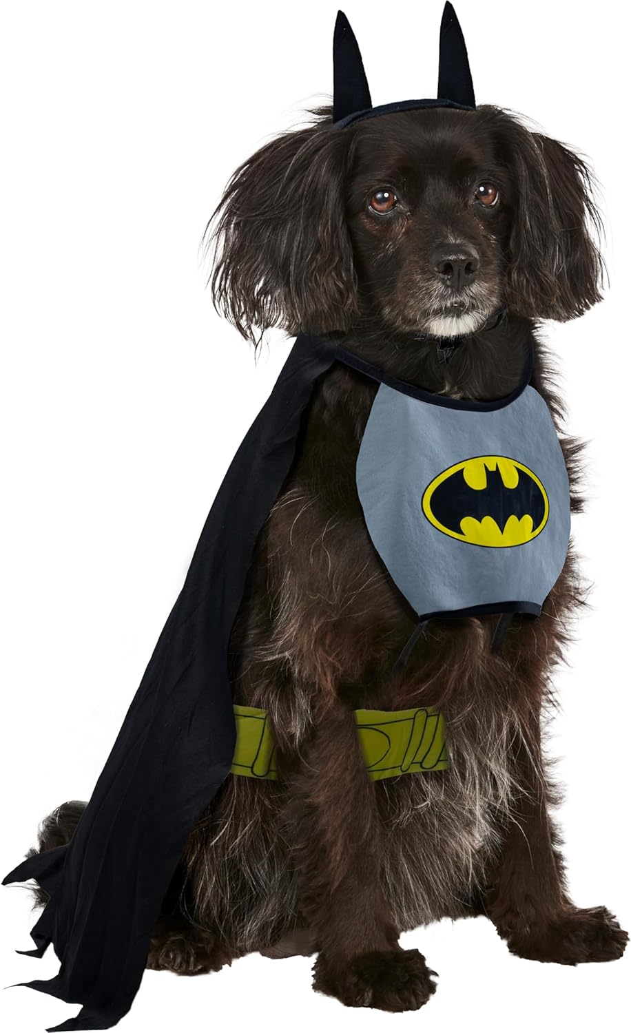 Rubies Costume DC Heroes and Villains Collection Pet Costume - Classic Batman - 5