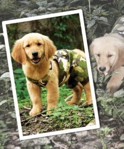 Urban Dog Wear Military Overall - 1