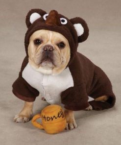 Zack & Zoey Polyester Lil Honey Bear Dog Costume, Small, Brown - 2