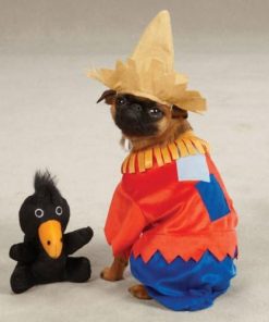 Zack & Zoey Scarecrow Pet Costume – Red - 1