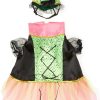 Zack & Zoey Witchy Business Pet Costume - Green