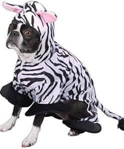 Zack & Zoey Zebra Pet Costume