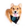 Happy Puppy Designer Dog Accessory - Venetian-Blind Sunglasses Bandana - Color: Black, Size: L-2