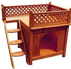 Dog House - Room with a View