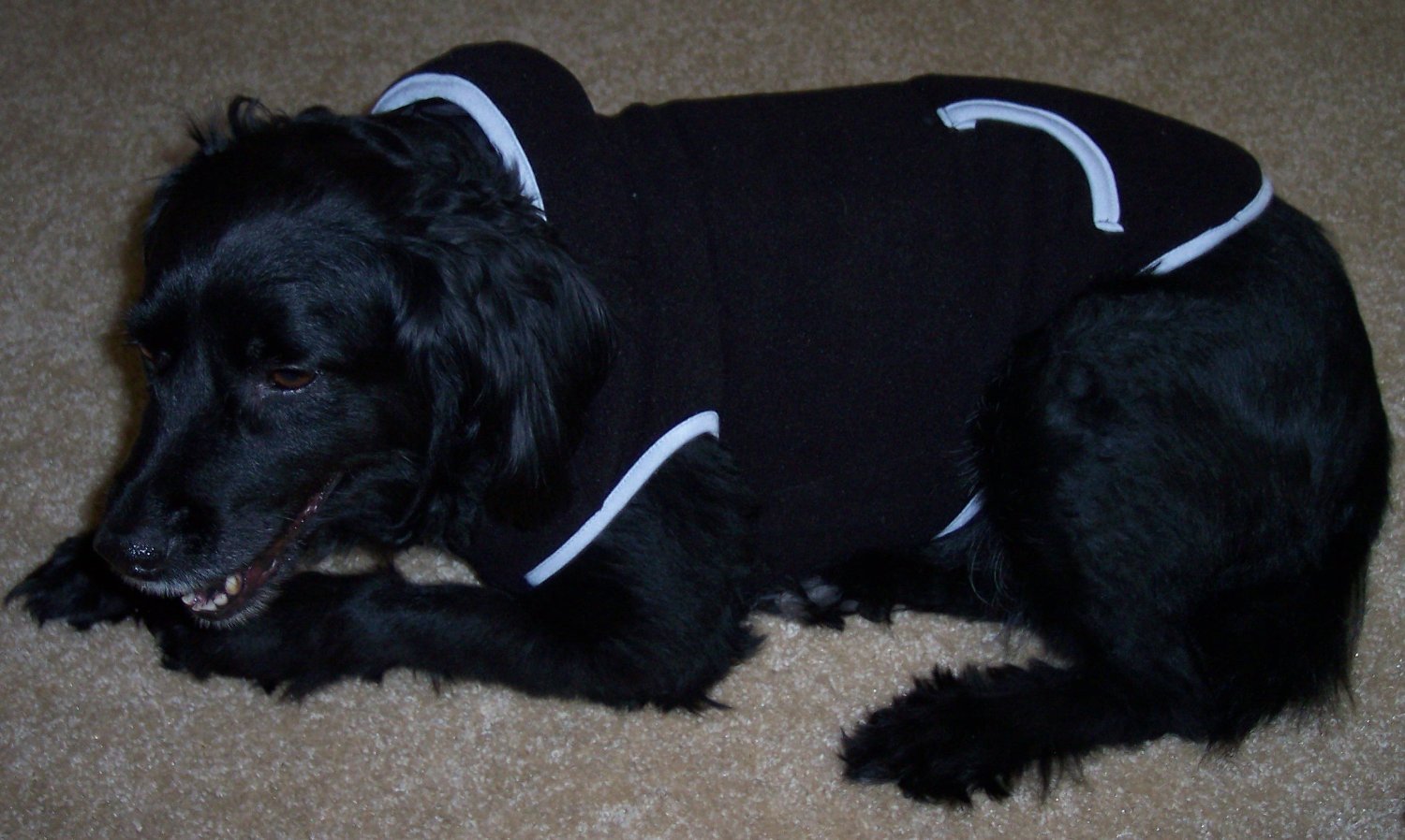 Dog Hoodie Sweatshirt Jacket, Black XS - 6