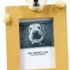 Chihuahua Picture Frame Holds Your Favorite 2.5 by 3.5 Inch Photo