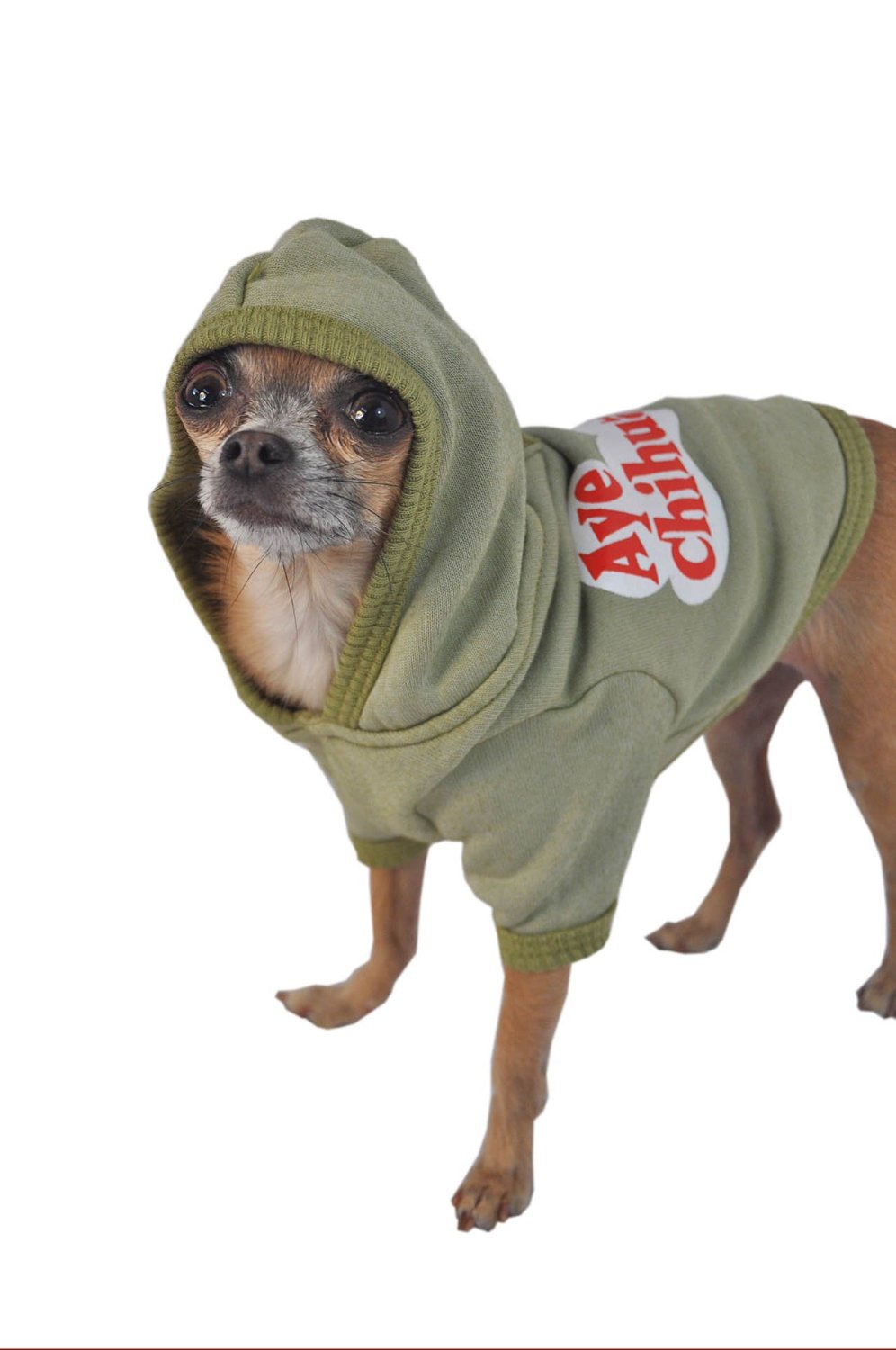 Ruff Ruff and Meow Dog Hoodie, Aye Chihuahua, Green, Large-2