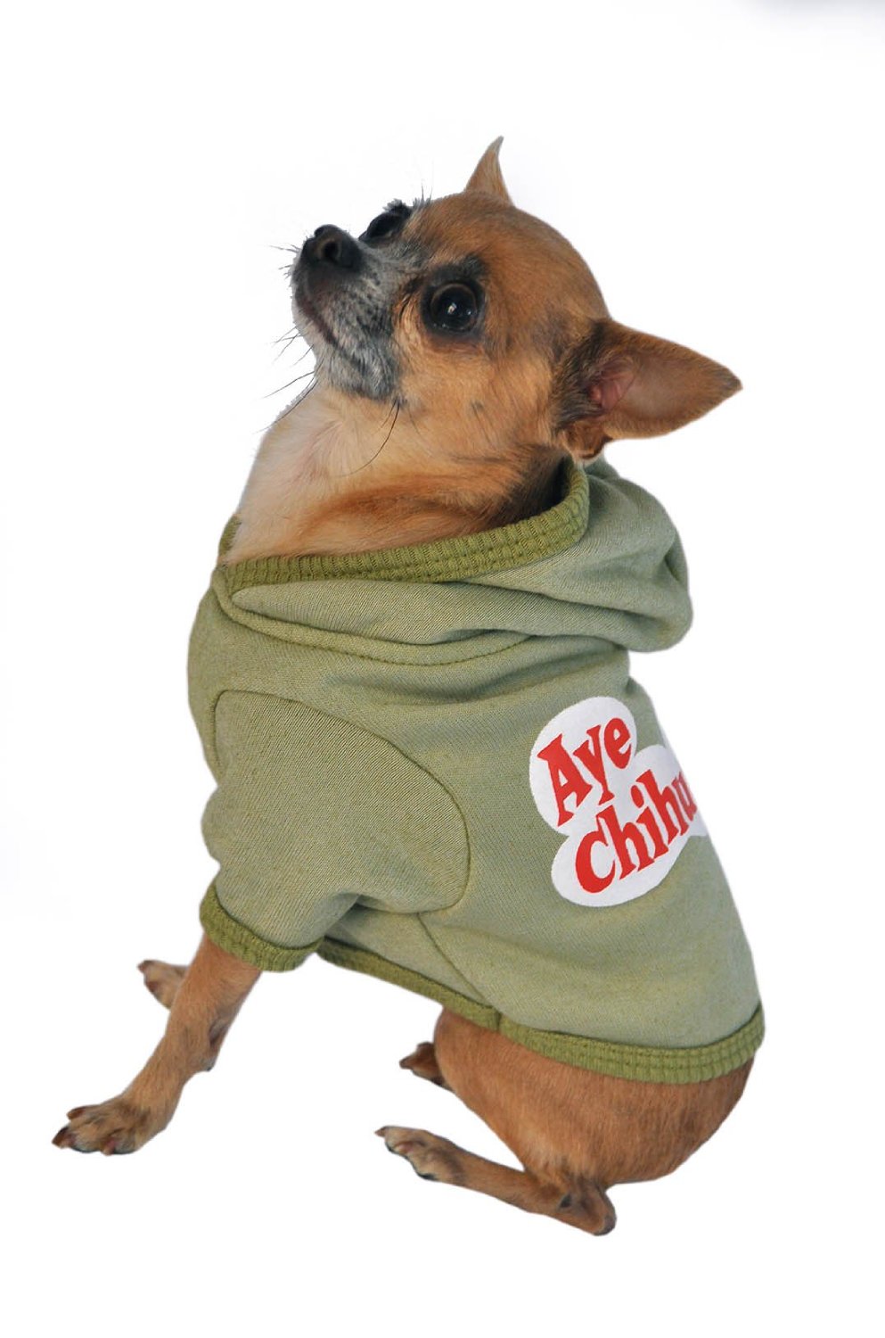 Ruff Ruff and Meow Dog Hoodie, Aye Chihuahua, Green, Large-3