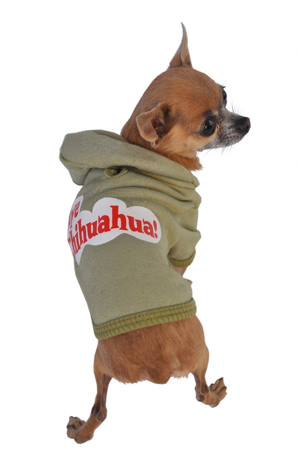 Ruff Ruff and Meow Dog Hoodie, Aye Chihuahua, Green, Large-4