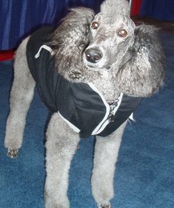 Dog Hoodie Sweatshirt Jacket, Black XS - 9