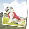 Urban Dog Wear Polar Nylon Jacket - 1