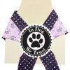 In Dog We Trust Pirategirl Bandana, X-Small, Pink - 1