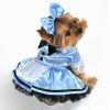 Swashbuckler Pirate Girl Dog Costume Size: X-Small