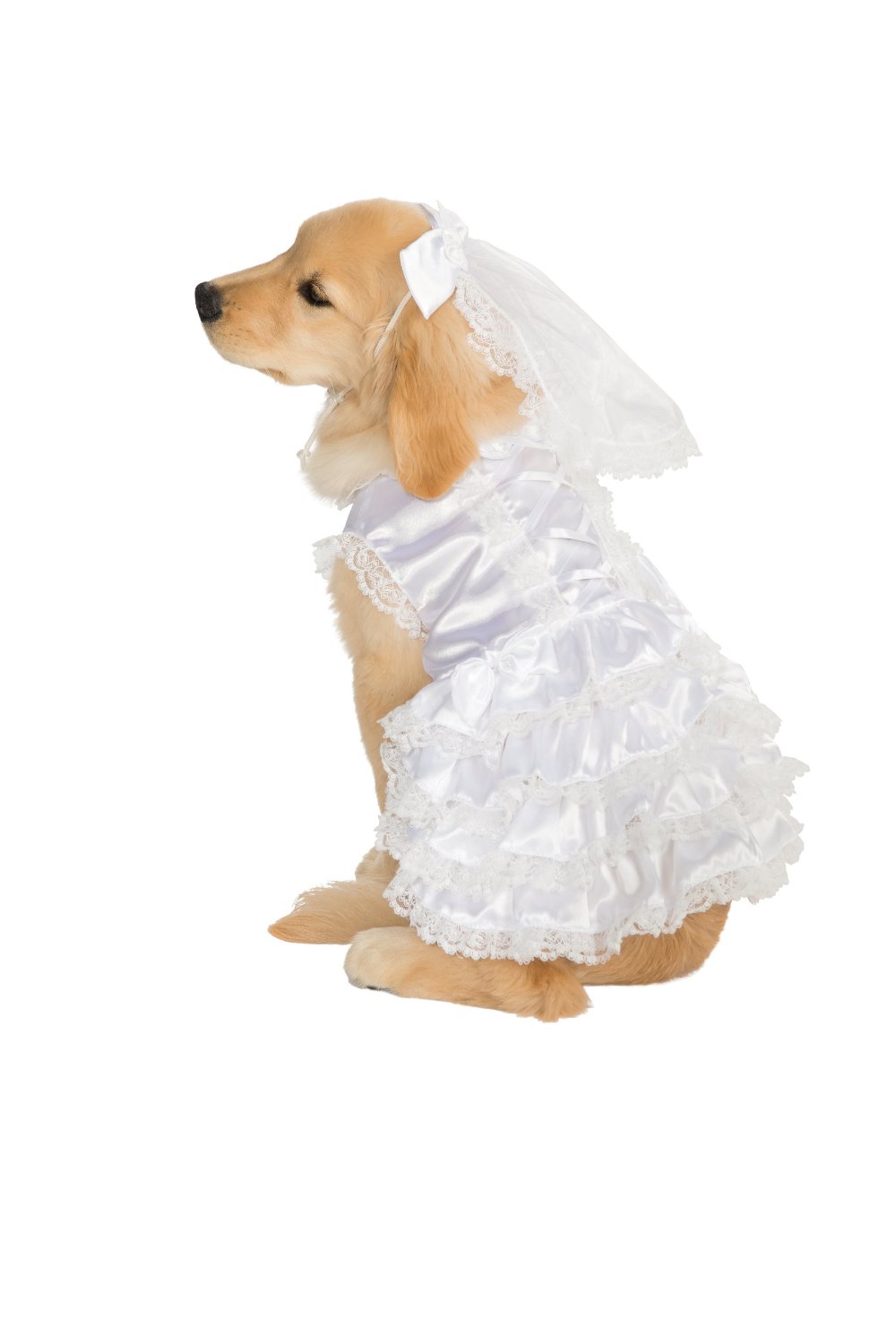 Rubies Costume Halloween Classics Collection Pet Costume - 1