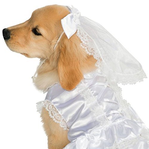 Rubies Costume Halloween Classics Collection Pet Costume - 3