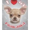 iLeesh iP50147 iLove My Chihuahua iPhone 5 Case