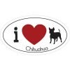 LittleGifts Car Magnet