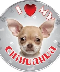 iLeesh i Love My Chihuahua Reflective Decal, Cream Short Haired