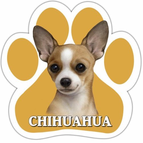 Chihuahua, Tan Car Magnet With Unique Paw Shaped Design