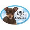 Prismatix Decal Cat and Dog Magnets, Chihuahua