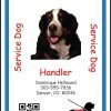 Personalized Service Animal ID Card with Online Registration