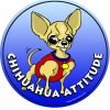Imagine This 4-3/4-Inch by 4-3/4-Inch Car Magnet Dog Attitude Chihuahua