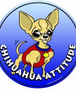 Imagine This 4-3/4-Inch by 4-3/4-Inch Car Magnet Dog Attitude Chihuahua