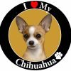 "I Love My Chihuahua" Car Magnet With Realistic Looking Chihuahua Photograph In The Center Covered In High Quality UV Gloss For Weather and Fading Protection Circle Shaped Magnet