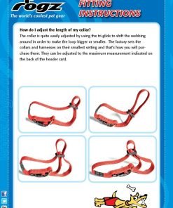 Rogz Utility Small 3/8-Inch Reflective Nitelife Dog Collar 4