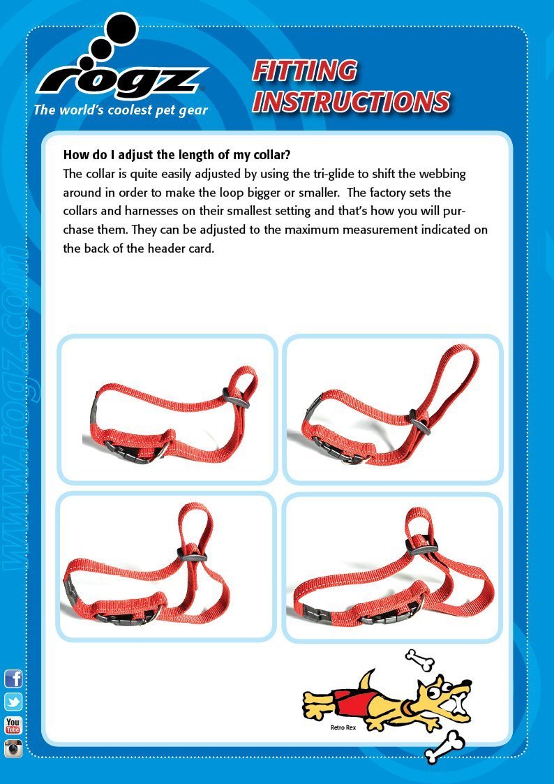 Rogz Utility Small 3/8-Inch Reflective Nitelife Dog Collar 4