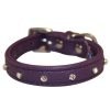 Rhinestones Bling Leather Dog Collar, Padded, Double-Ply, Riveted Settings, Purple