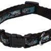 Rogz Fancy Dress Small 3/8-Inch Jellybean Dog Collar, Turquoise Chrome Design
