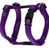 Rogz Fancy Dress Small 3/8-Inch Jellybean Adjustable Dog H-Harness, Purple Chrome Design