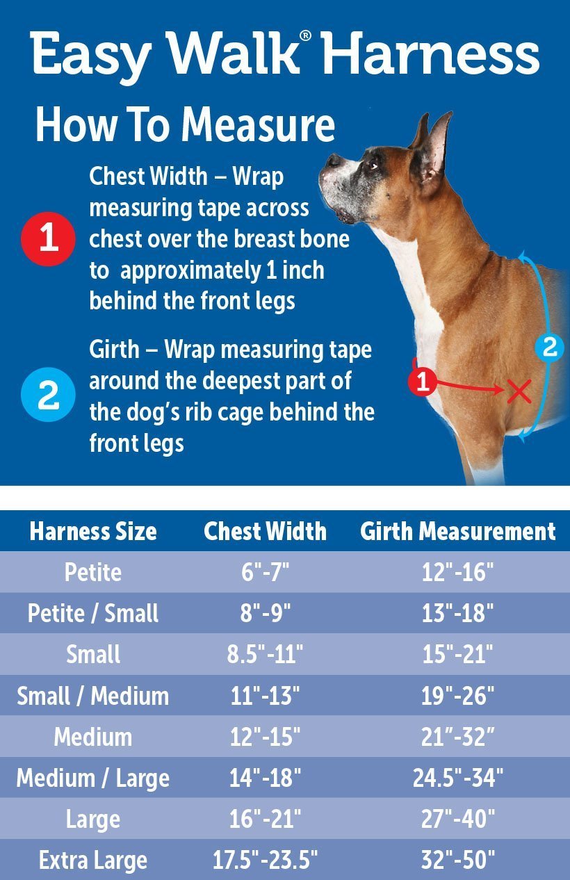 Easy Walk Harness 2