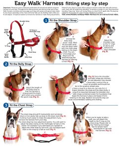 Easy Walk Harness 5