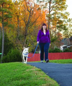 Easy Walk Harness 6