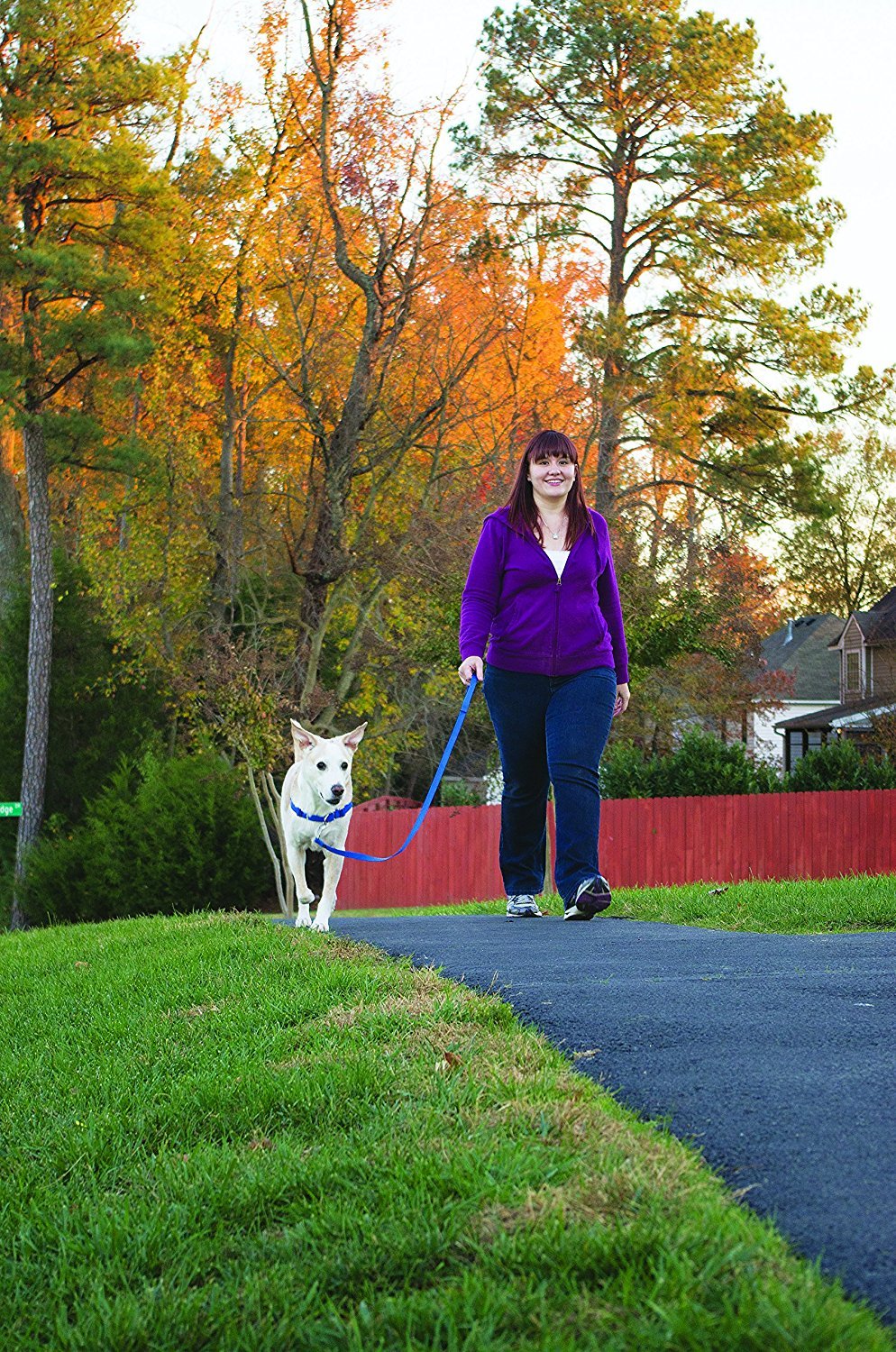 Easy Walk Harness 6