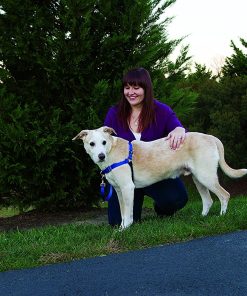 Easy Walk Harness 7