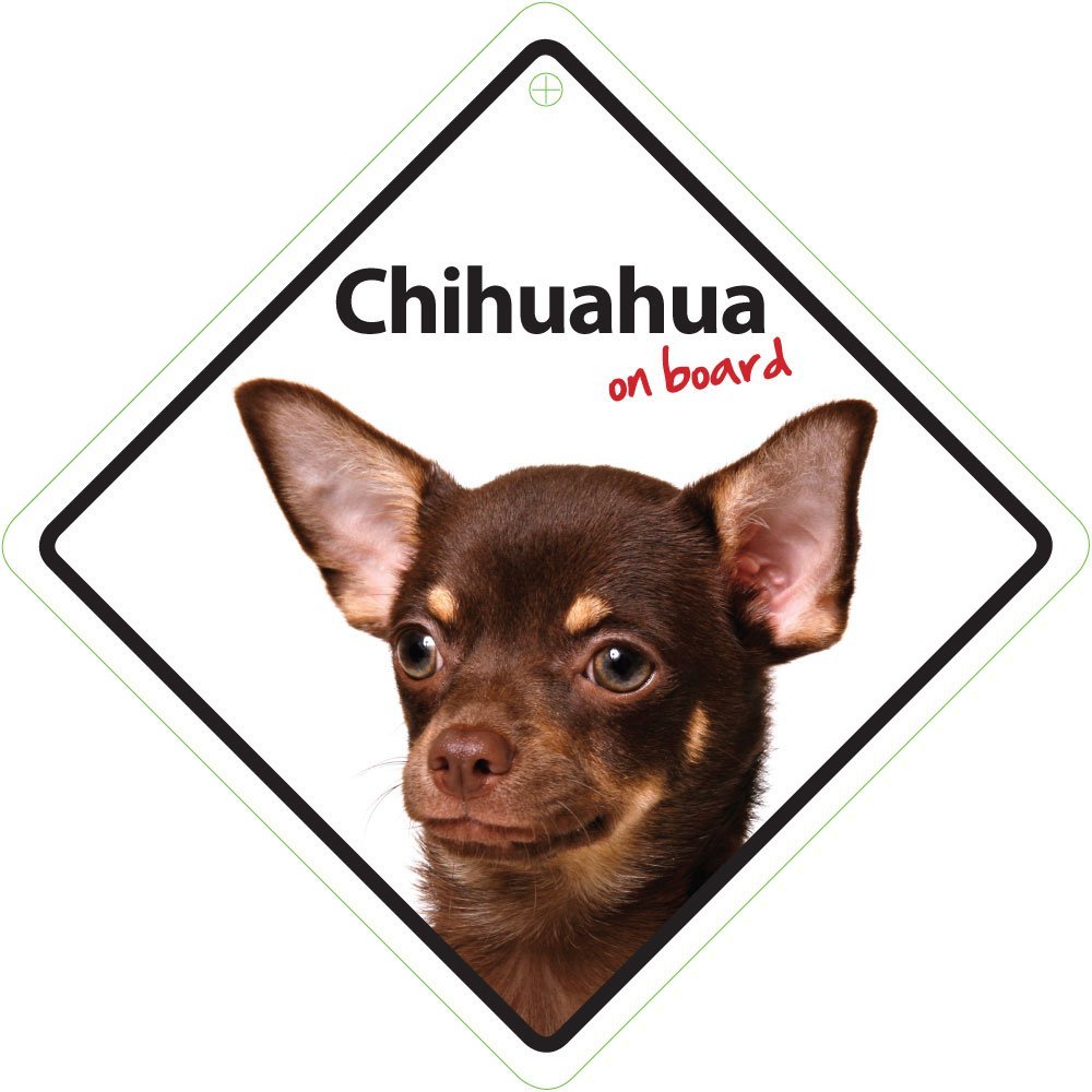 Magnet & Steel Chihuahua on Board Plastic Sign