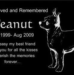 Personalized Chihuahua Pet Dog Memorial 12"x6" Engraved Black Granite Grave Marker Head Stone Plaque PEA1