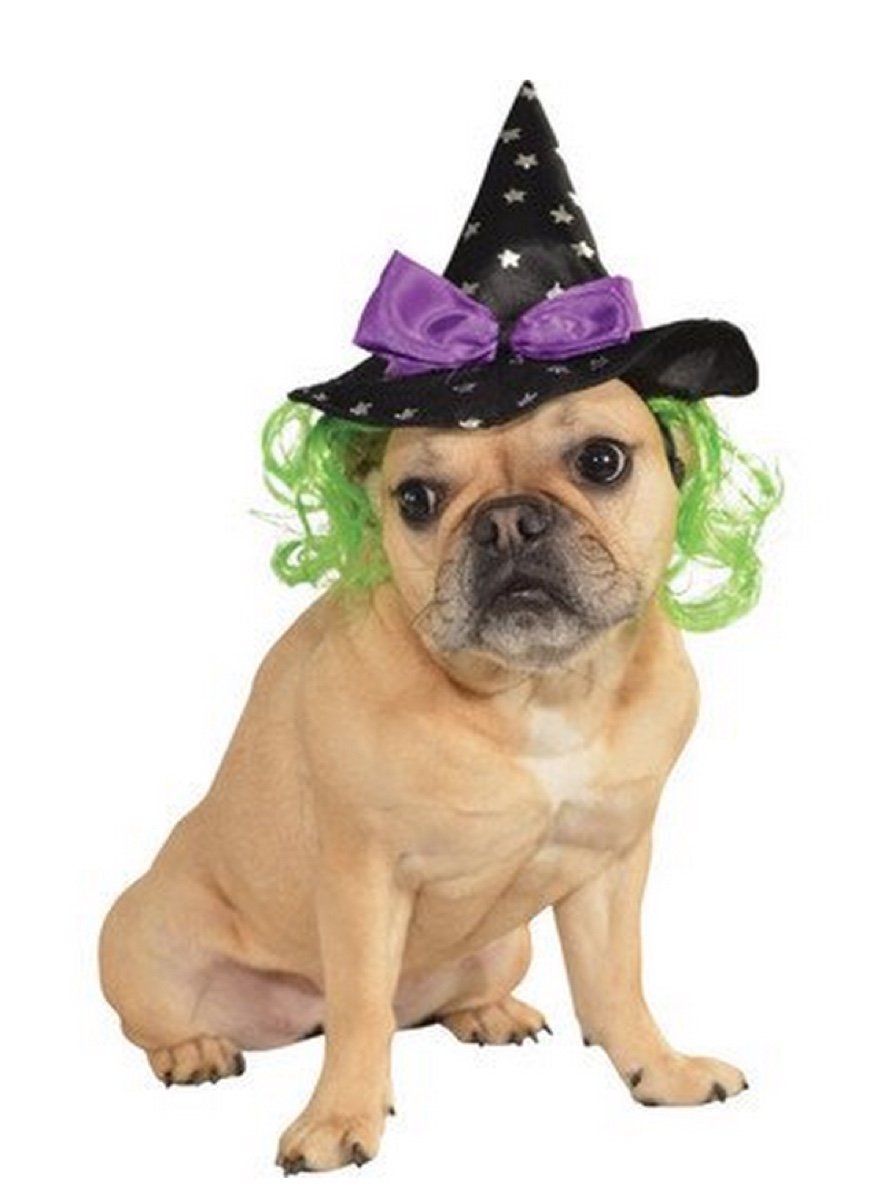 Rubies Costume Star Witch Hat with Hair Pet Accessory 3
