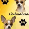 E&S Pets BM-10 Dog Bookmark