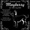 Personalized Chihuahua Pet Memorial 12"x12" Engraved Black Granite Grave Marker Head Stone Plaque MAY1