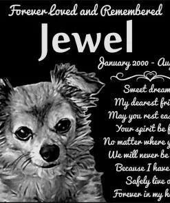Personalized Long Haired Chihuahua Dog Pet Memorial 12"x10" Engraved Black Granite Grave Marker Head Stone Plaque JWL1