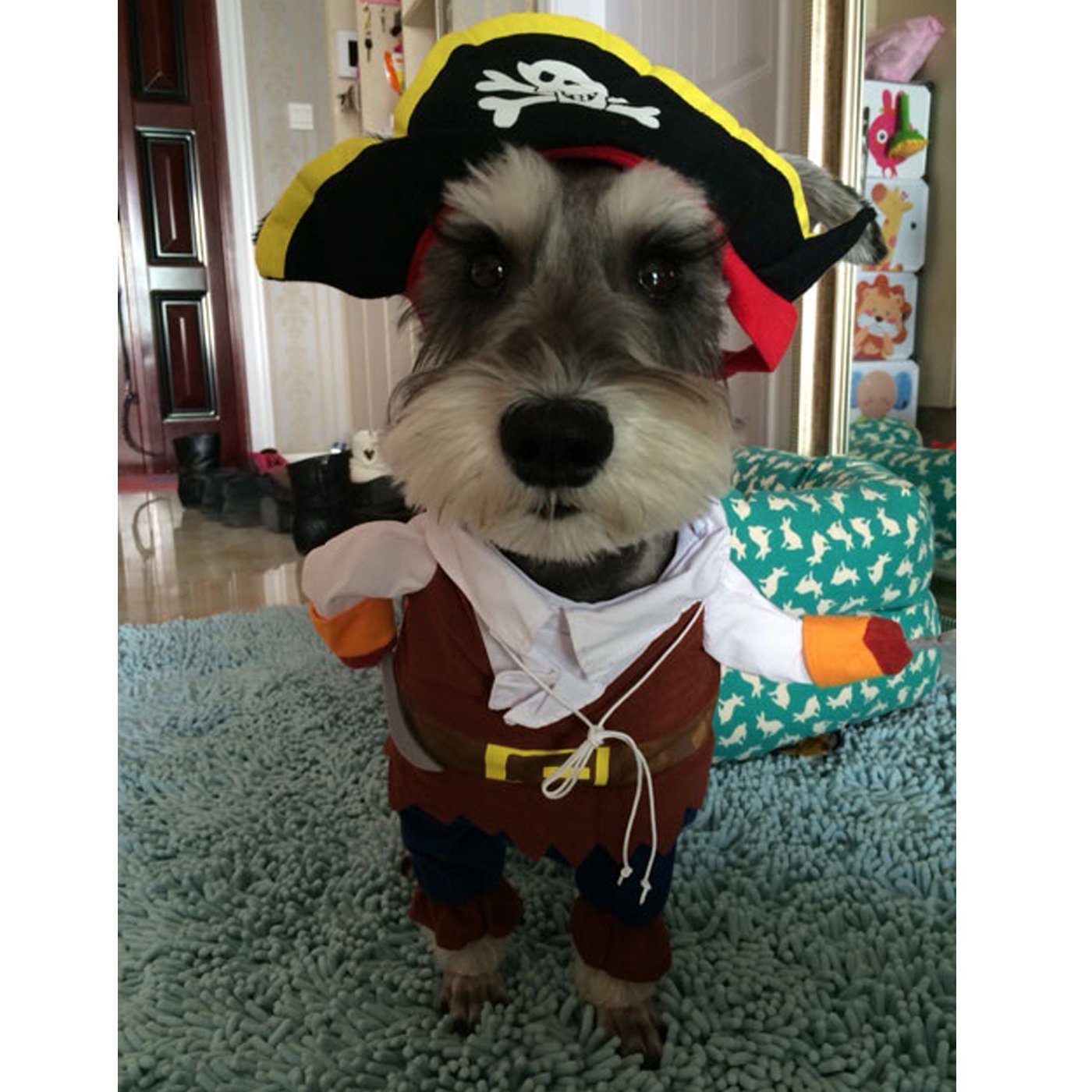 Alfie Pet Apparel by Petoga Couture - Jack the Pirate for Party Halloween Special Events Costume 8