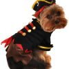 Anit Accessories Buccaneer Pirate Dog Costume, 8-Inch