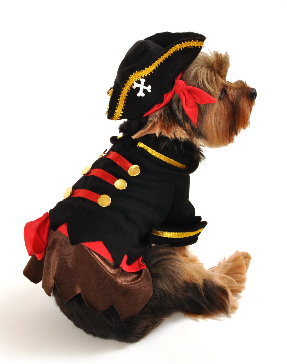 Anit Accessories Buccaneer Pirate Dog Costume, 8-Inch 2