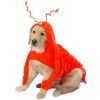 Casual Canine Lobster Paws Dog Costume, X-Small (fits lengths up to 8), Red-Orange