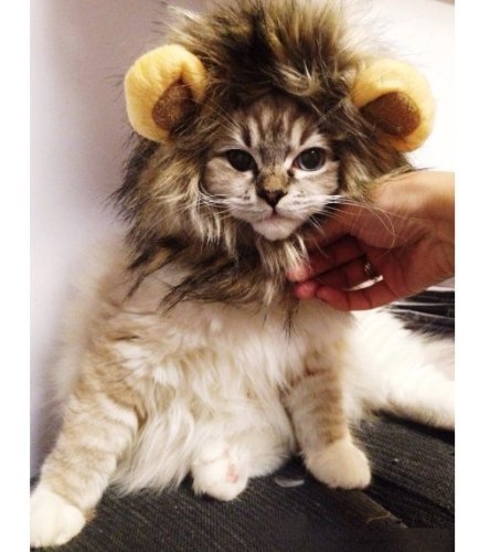 Dogloveit Pet Costume Lion Mane Wig for Dog Cat Halloween Dress up with Ears 2