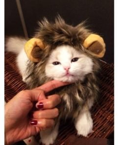 Dogloveit Pet Costume Lion Mane Wig for Dog Cat Halloween Dress up with Ears 3